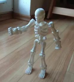 kostra skeletona