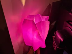 Rotated Star Lampshade