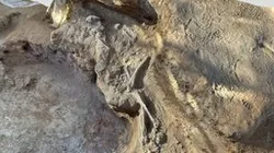 The Middle Bronze Age tomb