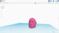 the rock