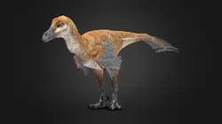 Velociraptor mongoliensis - Rigged