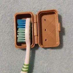Home Decorations & Ornaments STL indir - toothbrush cap - Luke_Envious321