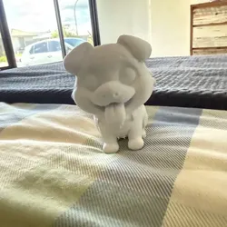 Max the Corgi cute dog