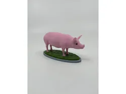 Pig