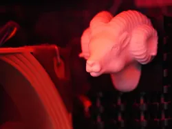 RAM for RAM