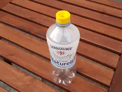 Wasp trap cap for soda bottle