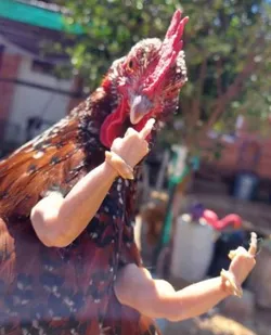 Chicken Fingers