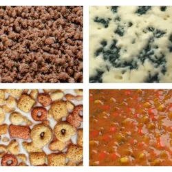 Food PBR Texture Set