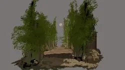Forest Trail
