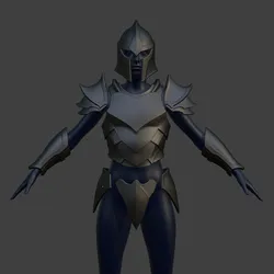 Shadow Castle Guard Armor Set