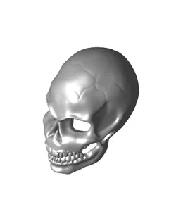 skull.stl