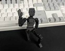 Stray Outlander Robot Heads for Lucky 13