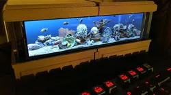 The Rockpiquarium