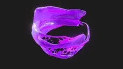 Water Splash Animation - Vortex 02