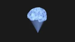 Brain Hologram Animated glb fbx blend usdc
