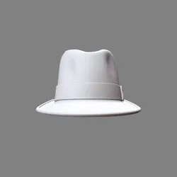 Fedora Hat #RoZ