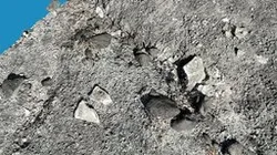 Laetoli Site 11 - Large Mammal Skull?