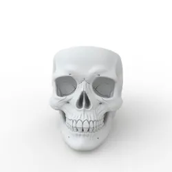 Skull Plant holder