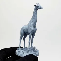 Towering African Giraffe | High-Detail Savanna Wildlife