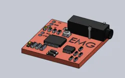 Walfront EMG