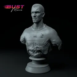 Zinedine Zidane Premium 3D Bust STL