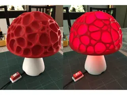 Magic Mushroom