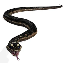 PYTHON 3D VIPER SNAKE REPTILE River Water