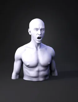 bald human head and shoulders with neutral skin tones