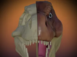 Fișiere pentru imprimante 3D | Fișier 3MF | T Rex head and fossil