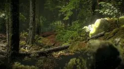 Jungle trail point cloud