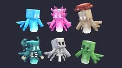 More Allays