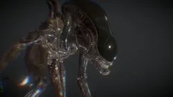 Realistic Xenomorph Rig