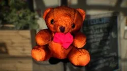 Teddy Bear