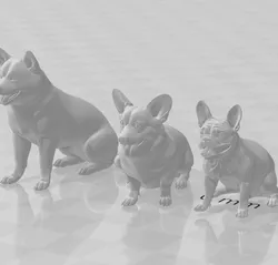 3 dogs