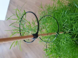 Plant support
