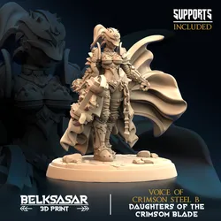 Paladin Voice of Crimson Steel B