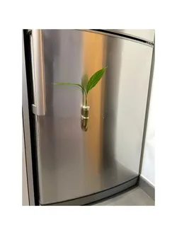Propagation tube magnet mount
