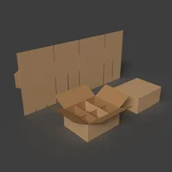 A 6-compartment corrugated cardboard box Open closed and disassembled packaging