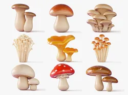 Cartoon Mushroom Collection