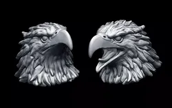 Eagle heads