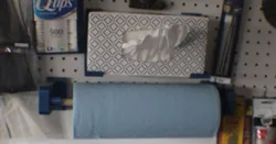 Facial Tissue for workshop