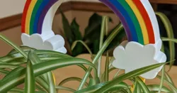 Rainbow for plants