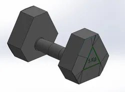 5 Kg weight