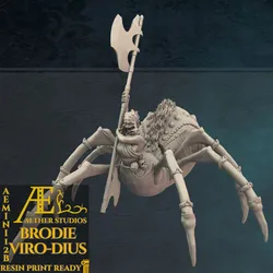 AEMINI12B - Brodie Viro-Dius