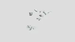 Crazy Birds