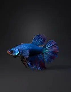 Create a carp model for me with a thick body that tapers at the tail