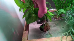 Cup for the simplePlant smartGarten
