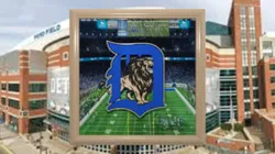 Detroit Lions