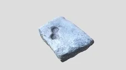 FOCULUS