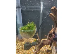 Marina\Fluval Breeding Box Pop Bottle Fish Egg Collector